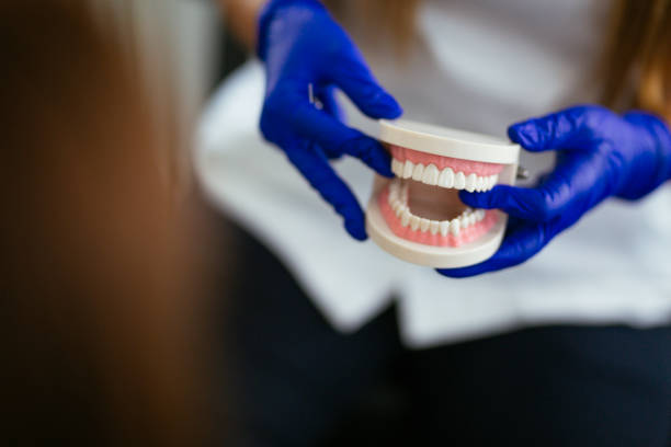 Best Dental X-Rays and Imaging  in Tavares, FL