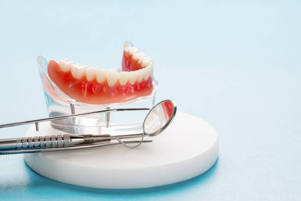 Best Dental Exams and Cleanings  in Tavares, FL